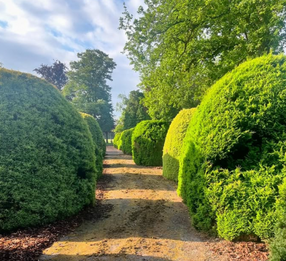 Professioneel tuinonderhoud Loenhout (Wuustwezel), Antwerpen